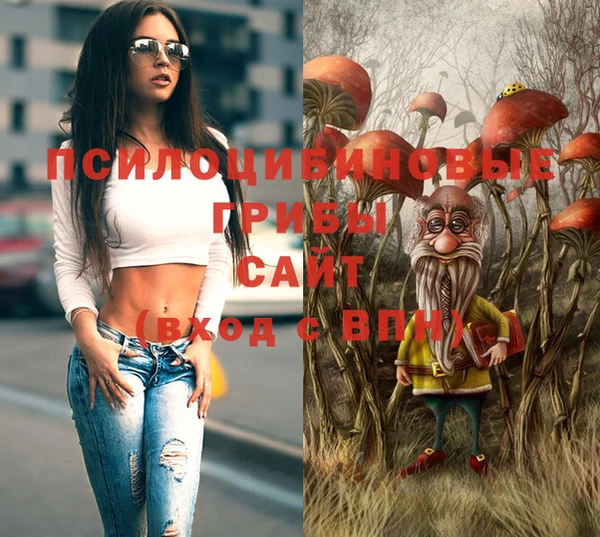 СК Покровск