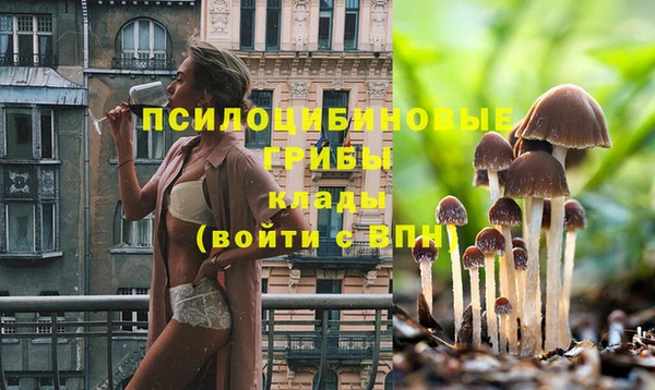 jwh Покачи