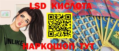 гашик Аргун