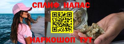 гашик Аргун