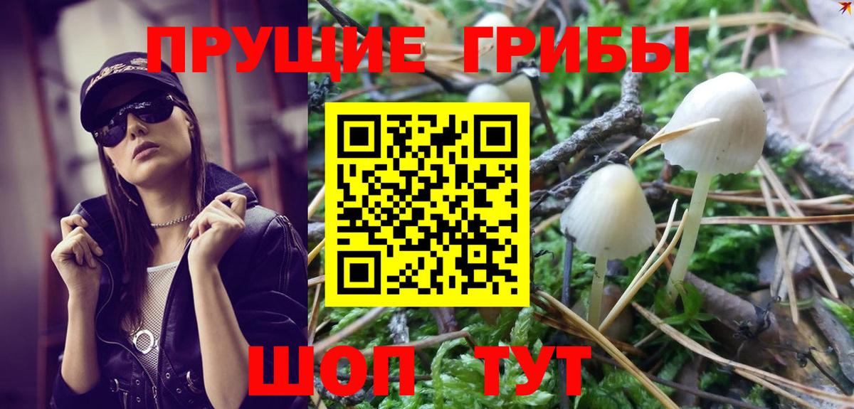 Псилоцибиновые грибы MAGIC MUSHROOMS Грозный