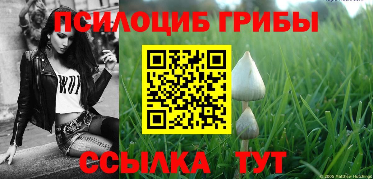 Галлюциногенные грибы мицелий  Псилоцибиновые грибы мухоморы  Грозный 