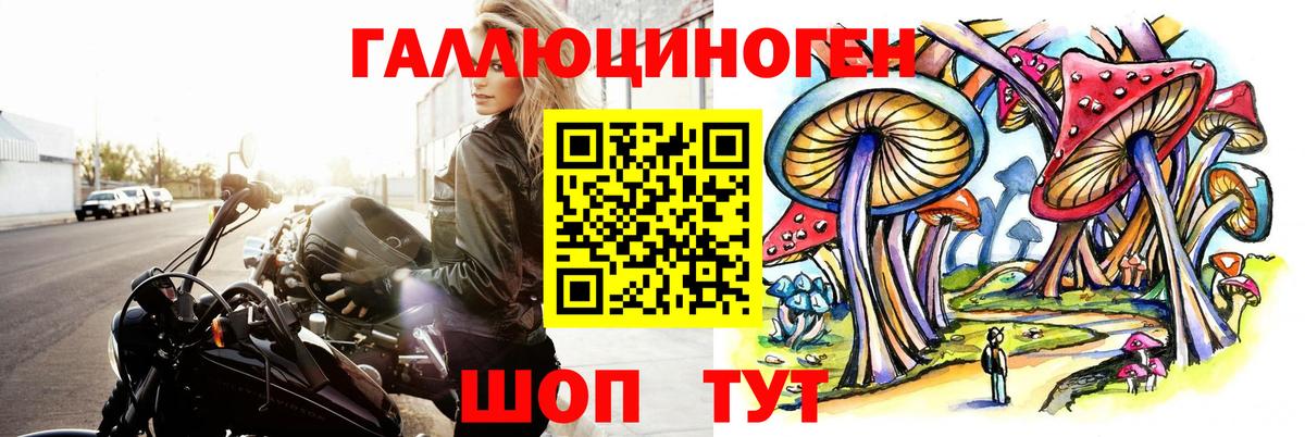Галлюциногенные грибы ЛСД  Галлюциногенные грибы Psilocybe  Вход с VPN  Грозный 